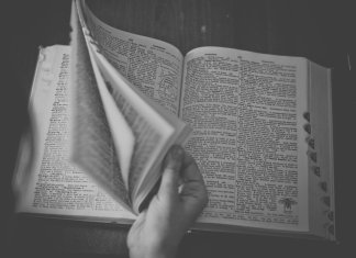 Kurs hiszpańskiego a różnice między Hiszpanią i Ameryką Łacińską – czego warto być świadomym? kurs hiszpanskiego 3.jpg