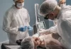 shar-pol.pl - 105-dlaczego-platformy-laserowe-staja-sie-standardem-w-nowoczesn.webp